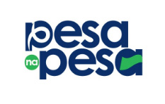 PESA NA PESA logo